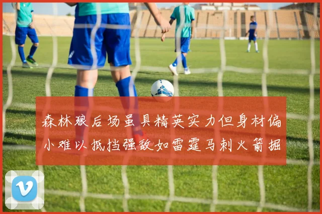 森林狼后场虽具精英实力但身材偏小难以抵挡强敌如雷霆马刺火箭掘金