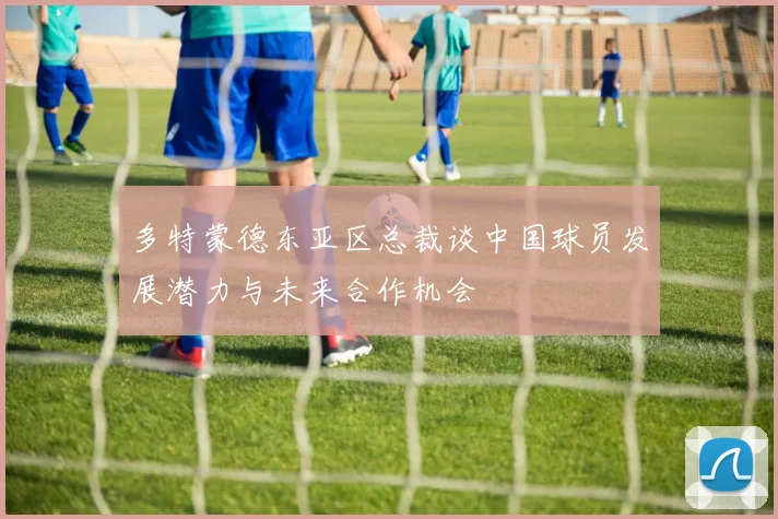 多特蒙德东亚区总裁谈中国球员发展潜力与未来合作机会