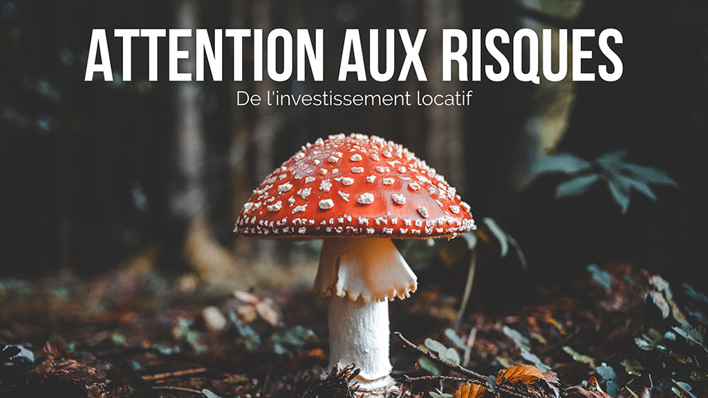 Risques de l'investissement locatif